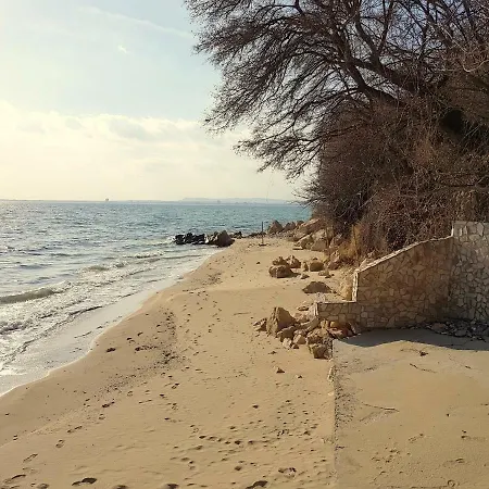 Alex Beach 圣弗拉斯