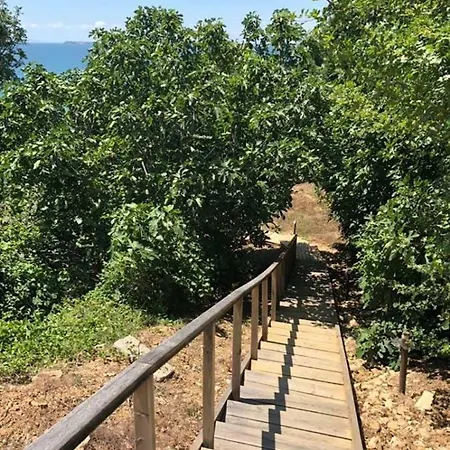 公寓 Alex Beach 圣弗拉斯